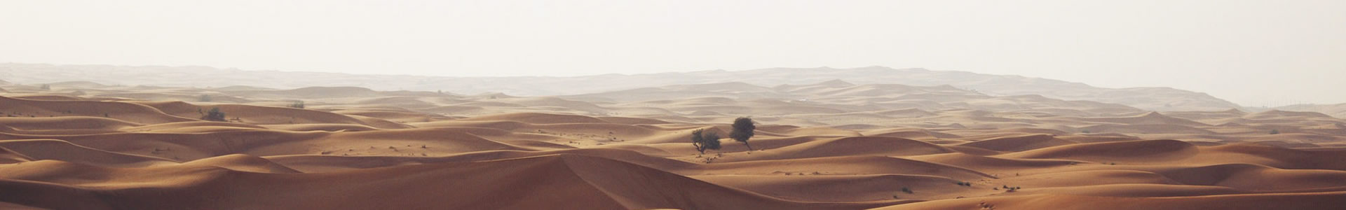 ս豸Ƽ޹˾